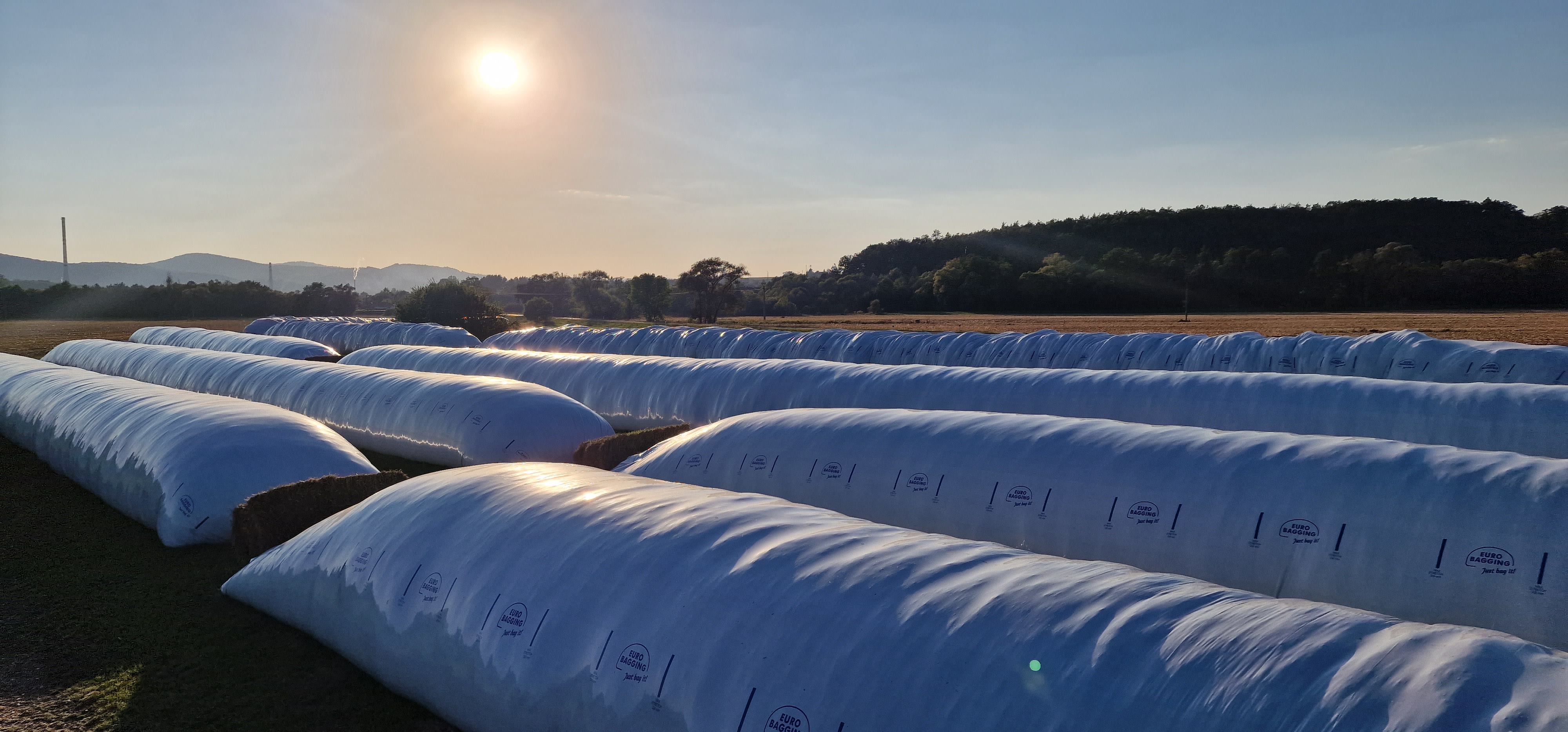 Uskladnenie krmív vo vakoch